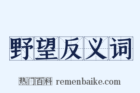 野望反义词是什么意思的图片